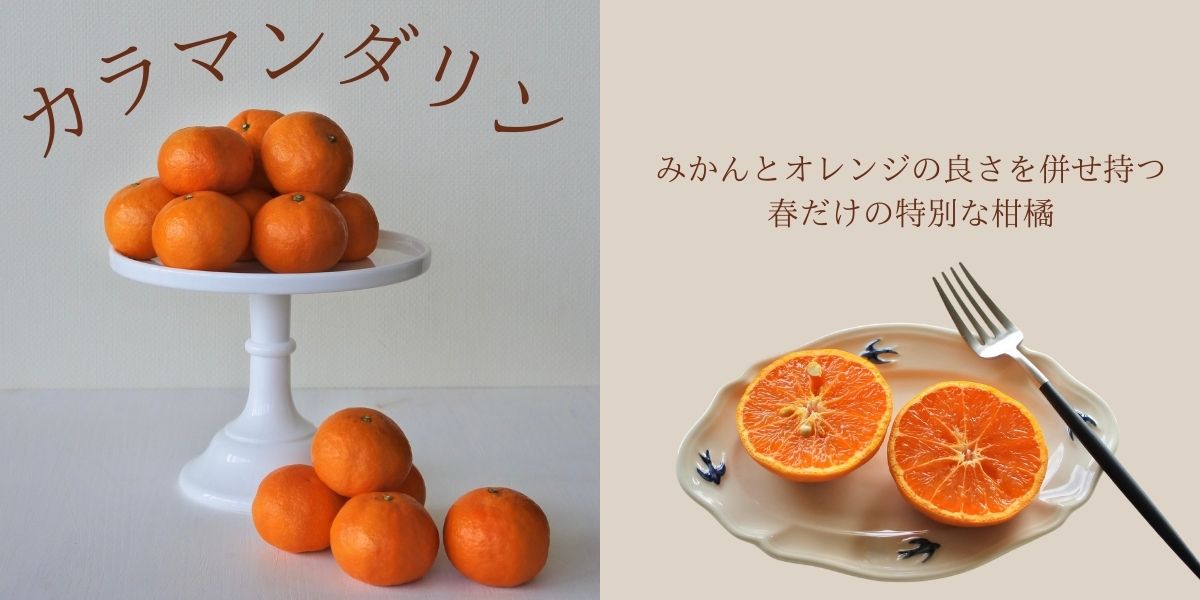 ����ޥ�����